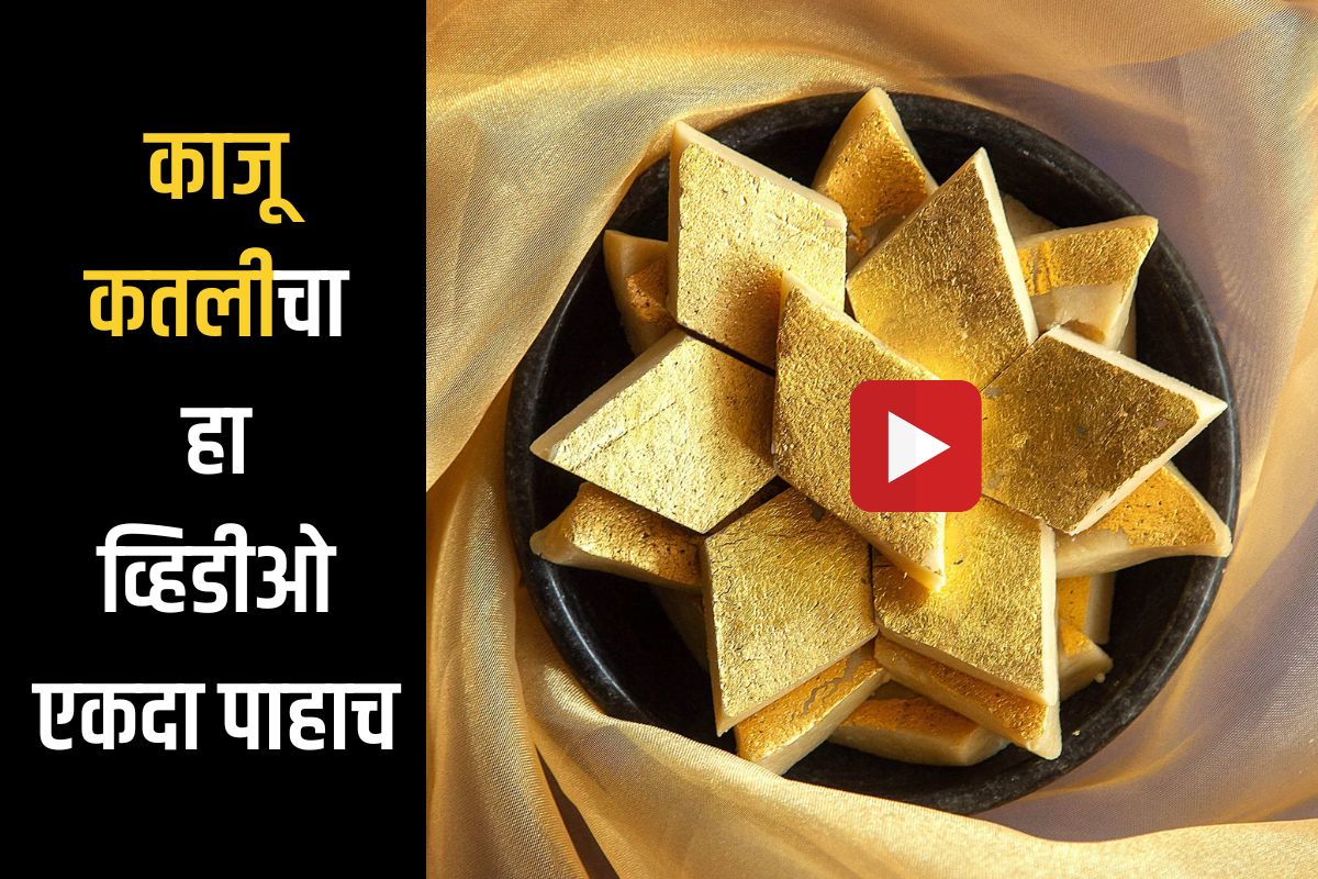 प्रतिकात्मक फोटो