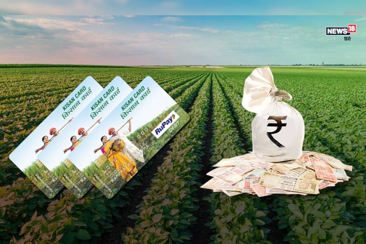 PM KISAN लाभार्थ्यांसाठी खुशखबर! सरकार करणार आर्थिक शेतकऱ्यांना मदत, पाहा कशी