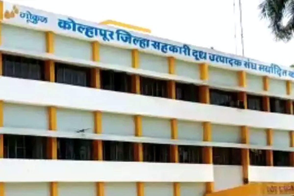 kolhapur dudh sangh : गोकुळकडून यंदा दूध उत्पदकांची दिवाळी जोरात, 100 कोटींच्यावर फरक देण्याची घोषणा