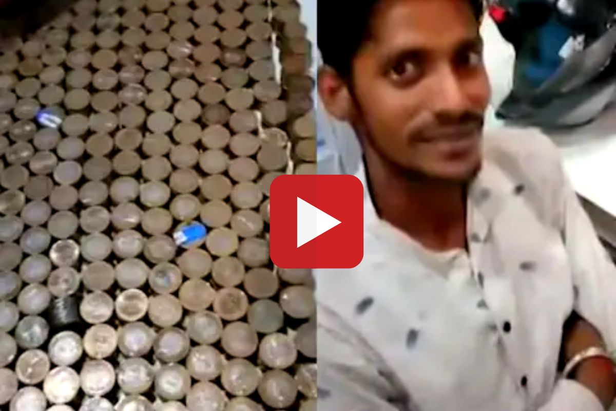 व्हायरल व्हिडीओ