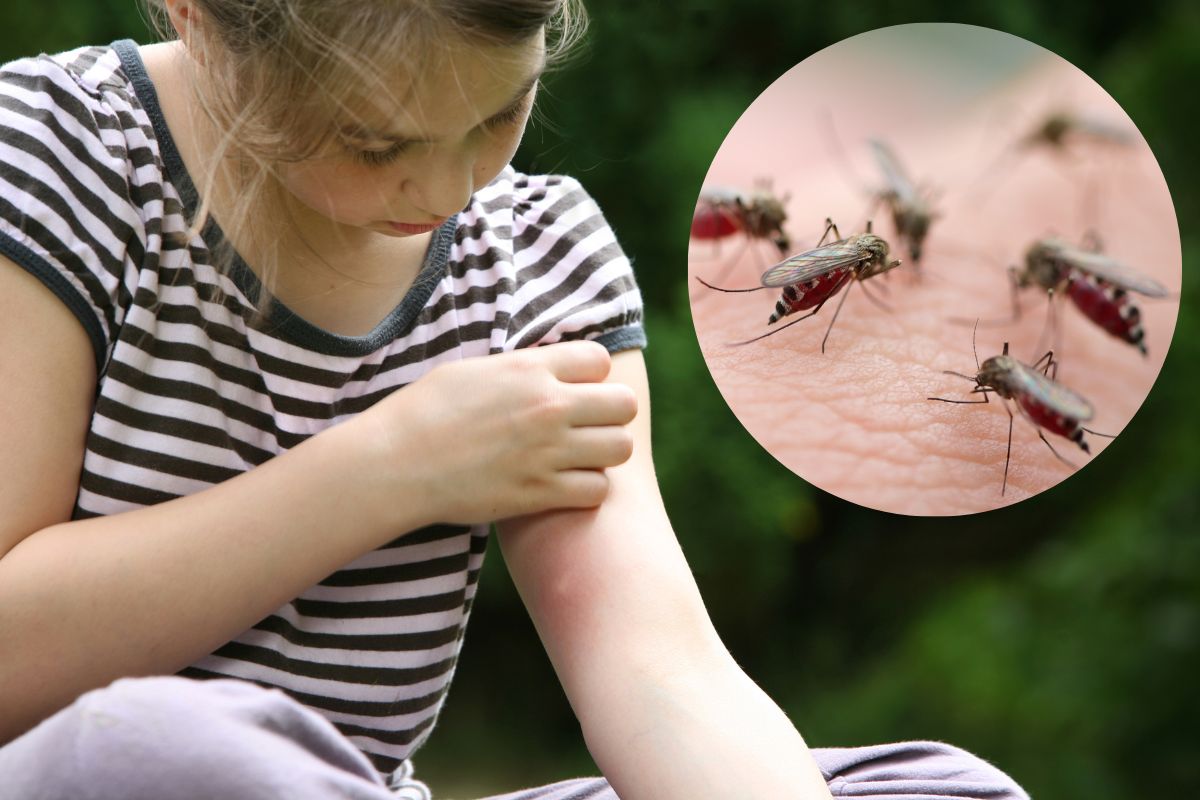 प्रतिकात्मक फोटो