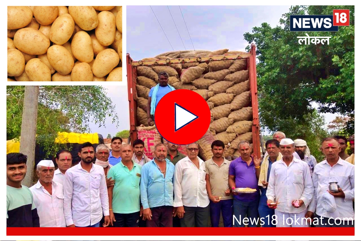 Success story : तरूण शेतकऱ्यांची बटाट्यात 'क्रांती', दुष्काळी भागात केला भन्नाट प्रयोग! Video