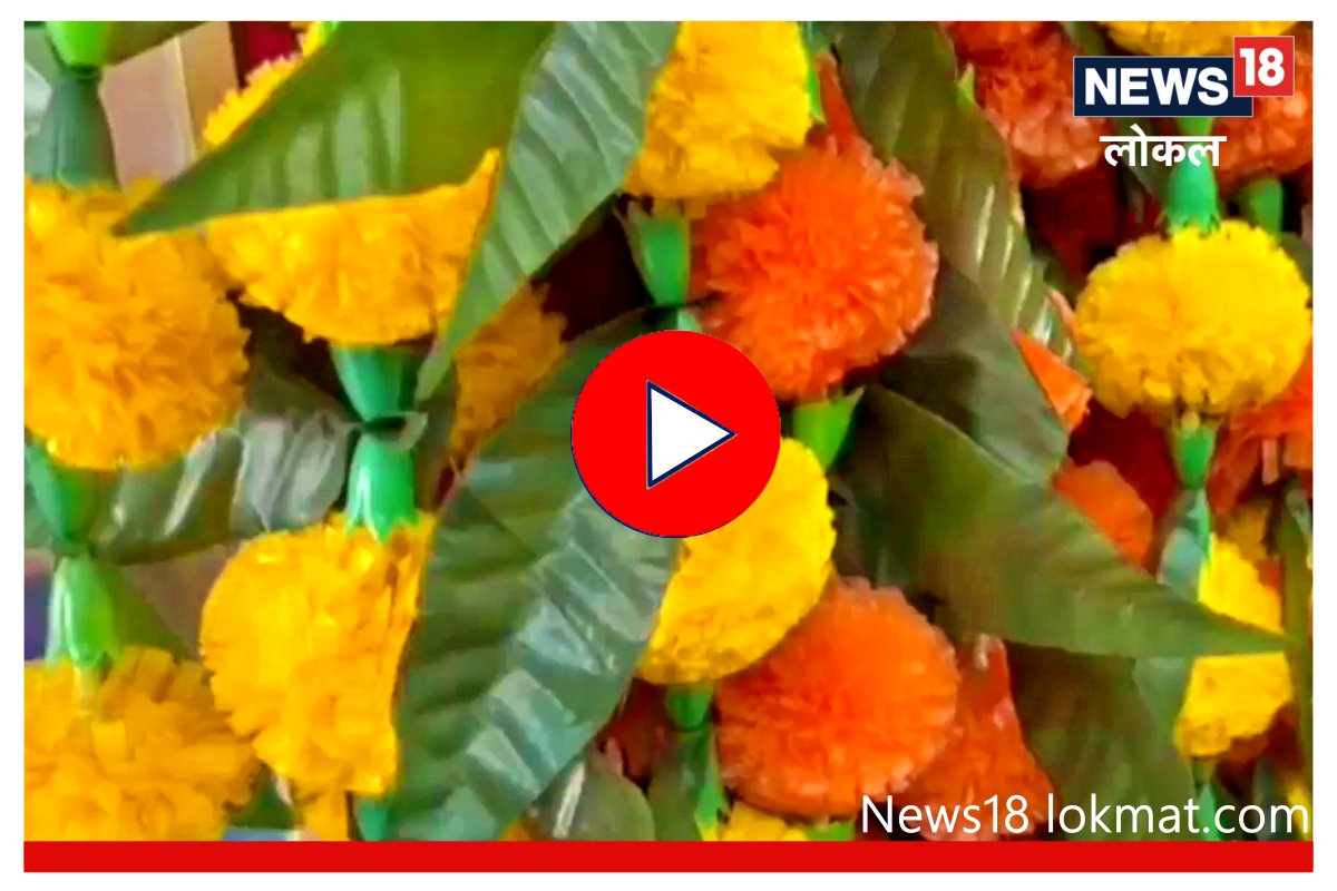 सण उत्सवात प्लास्टिक फुलांचाच बोलबाला, शेतकरी संकटात, पाहा Video
