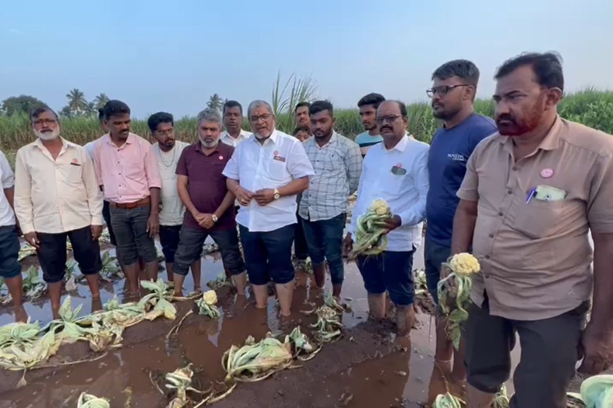 राजू शेट्टी यांचा शिंदे सरकारवर प्रहार