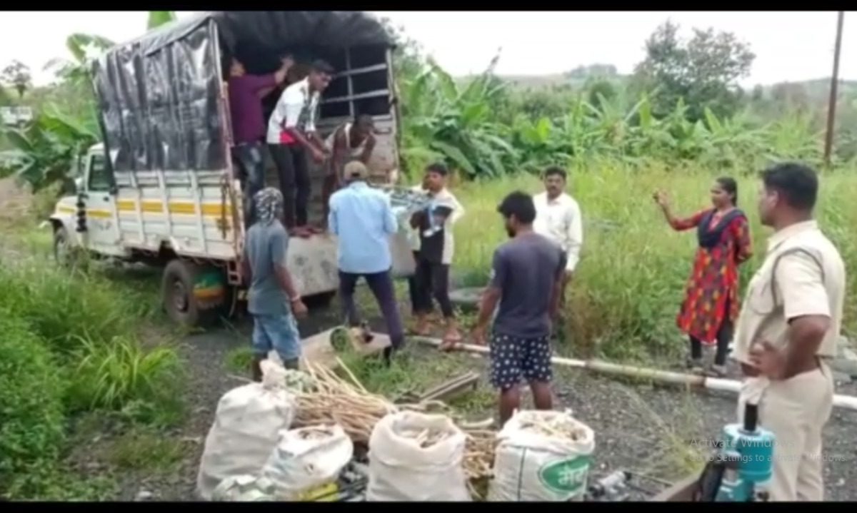 Thane Forest Department : ठाण्यात अनिल देशमुखांच्या फार्महाऊसवर धाड, अंधश्रद्धेसाठी पांढरीच्या लाकडांची तस्करी