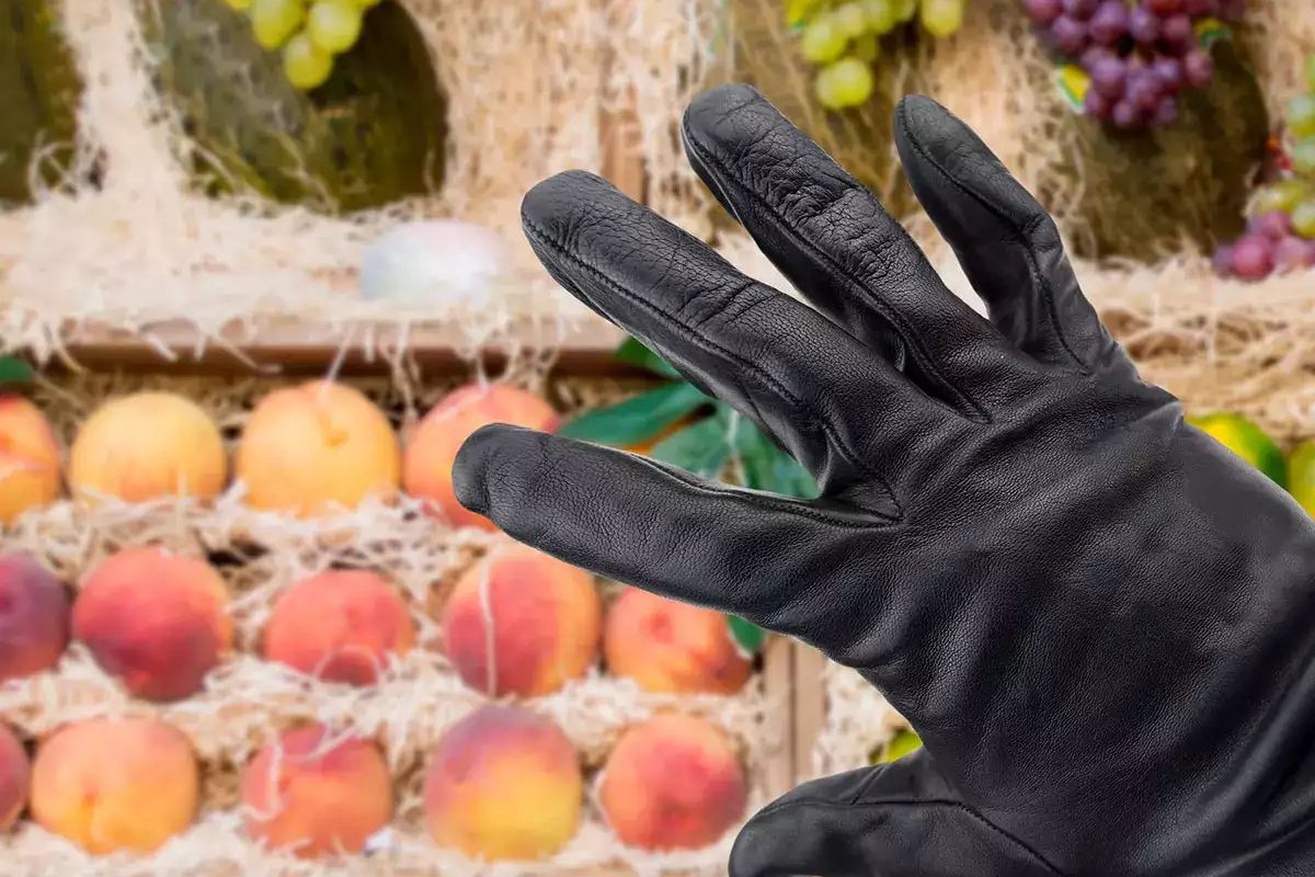 प्रतिकात्मक फोटो