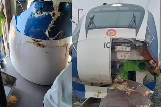 आधी म्हशी, गाय अन् आता बैल; वंदे भारत ट्रेनचं पुन्हा 'नाक कापलं' 