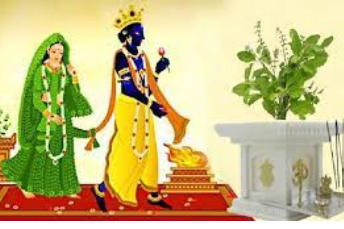 Tulsi Vivah 2022: शाळीग्राम आणि तुळशीचं लग्न का केलं जातं? यामागील पौराणिक कथा माहिती आहे का?