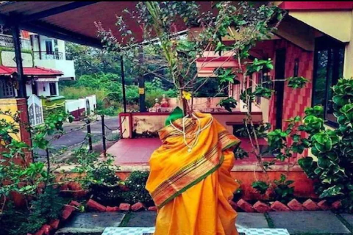 Tulsi Vivah 2022 : तुळशीच्या लग्नाला काय काय लागतं? तुळशी विवाह पूजा सामग्री यादी इथं पाहा
