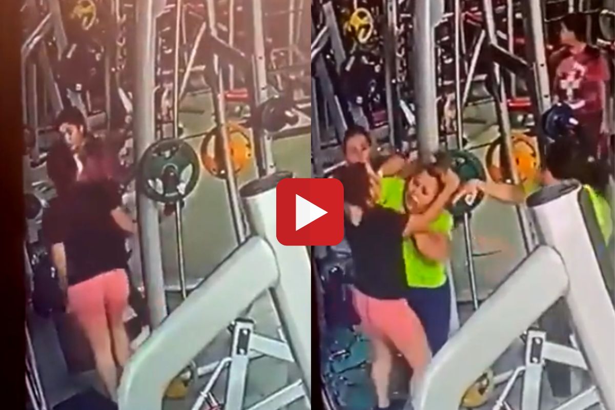 व्हायरल व्हिडीओ