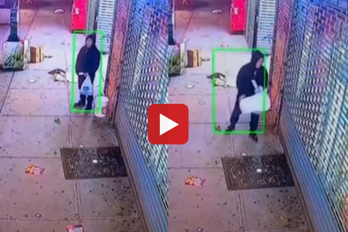 व्हायरल व्हिडीओ