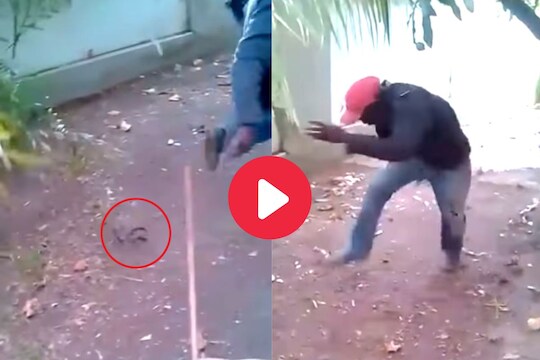 Viral Video