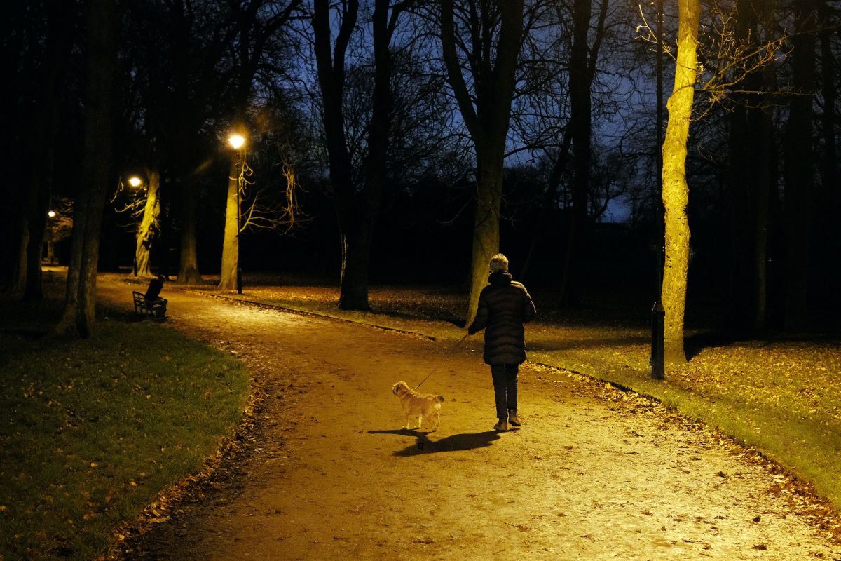 प्रतिकात्मक फोटो