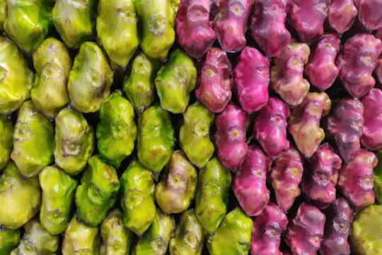 Water Chestnut Benefits : हिवाळ्यात नक्की खा शिंगाडा, वजनासोबत ब्लड प्रेशरही राहील नियंत्रित
