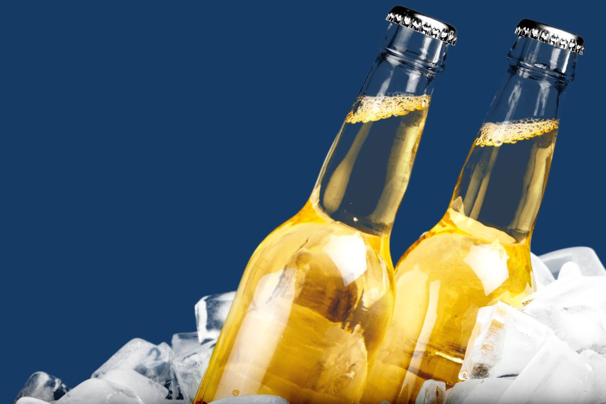 Weirdest Beer : हत्तीच्या शीपासून तर कधी मानवी सुसूपासून, अशा बनवल्या जातात या 7 विचित्र बिअर