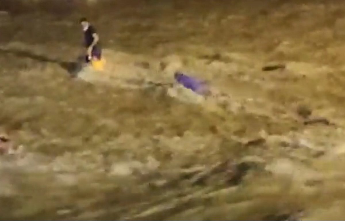 West Bengal Flood : दुर्गामाता विसर्जना वेळी नदीला अचानक पूर 7 जणांचा मृत्यू थरारक LIVE VIDEO