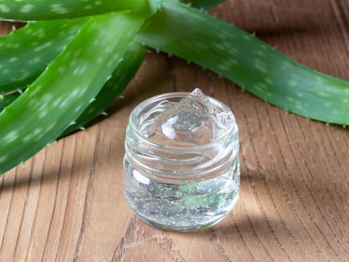 कोरफड जेल: औषधी घटकांनी समृद्ध, कोरफड जेल केसांमधील कोंडा कमी करण्यास आणि ओलावा टिकवून ठेवण्यास मदत करते. एलोवेरा जेल थेट केसांच्या मुळांवर लावा आणि 10-15 मिनिटांनी केस धुवा. यामुळे हिवाळ्यातही तुमचे केस कोंडा मुक्त आणि मऊ राहतील.(इमेज/कॅनव्हा)