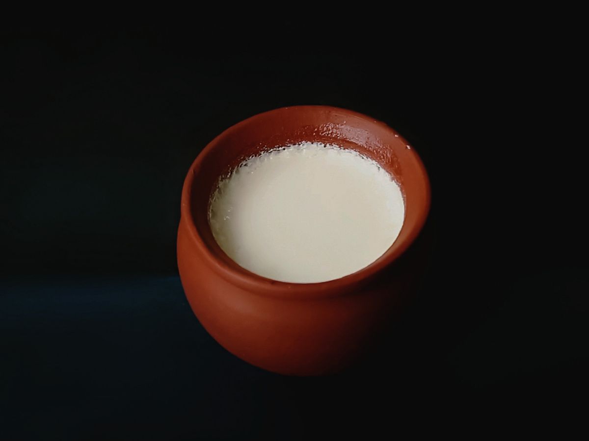 दही वापरा : केसांची योग्य निगा राखण्यासाठी दह्याचा वापर फायदेशीर ठरेल. दही हे नैसर्गिक कंडिशनर म्हणून काम करतं. दह़्याचा हेअर मास्क लावून कोंडा सहज घालवू शकता. यासाठी केसांना शॅम्पू केल्यानंतर दही लावा आणि 10-15 मिनिटांनी केस स्वच्छ पाण्याने धुवा. यामुळे तुमच्या केसांना चमक येईल. (इमेज/कॅनव्हा)