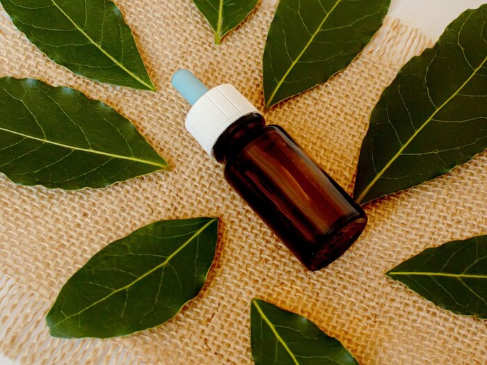 टी ट्री ऑइल लावा: हिवाळ्यात केसांमधील कोंडा घालवण्यासाठी टी ट्री ऑइलचाही उपयोग केला जाऊ शकतो. यासाठी टी ट्री ऑइलमध्ये खोबरेल तेल मिसळून केसांना लावा आणि तासाभराने केसांना शॅम्पू करा. यामध्ये असलेले अँटी-बॅक्टेरियल घटक केसांमधील कोंडा दूर करण्यासाठी तसेच टाळूच्या त्वचेला संसर्गमुक्त ठेवण्यास मदत करतात.(इमेज/कॅनव्हा)