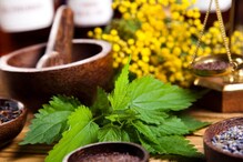 हिवाळ्यात सर्दी-खोकल्यापासून आराम मिळवण्यासाठी करा हे 5 नैसर्गिक उपाय हिवाळ्यात सर्दी-खोकल्यापासून आराम मिळवण्यासाठी करा हे 5 नैसर्गिक उपाय