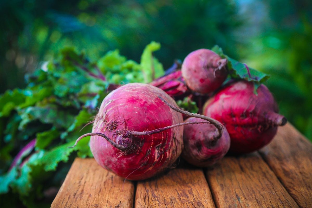 बीट खाण्याचे फायदे