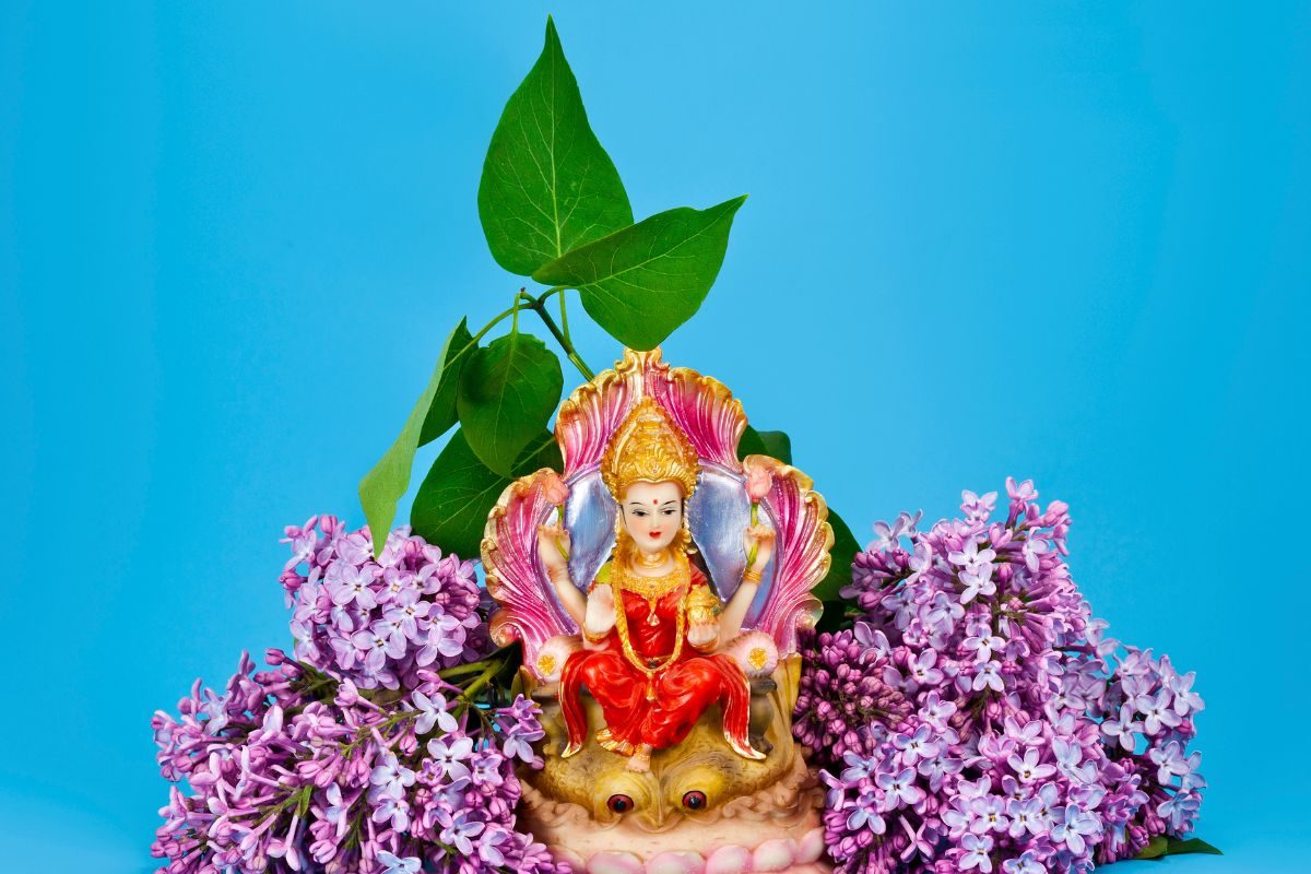 वास्तुदोष घालवण्याचे उपाय