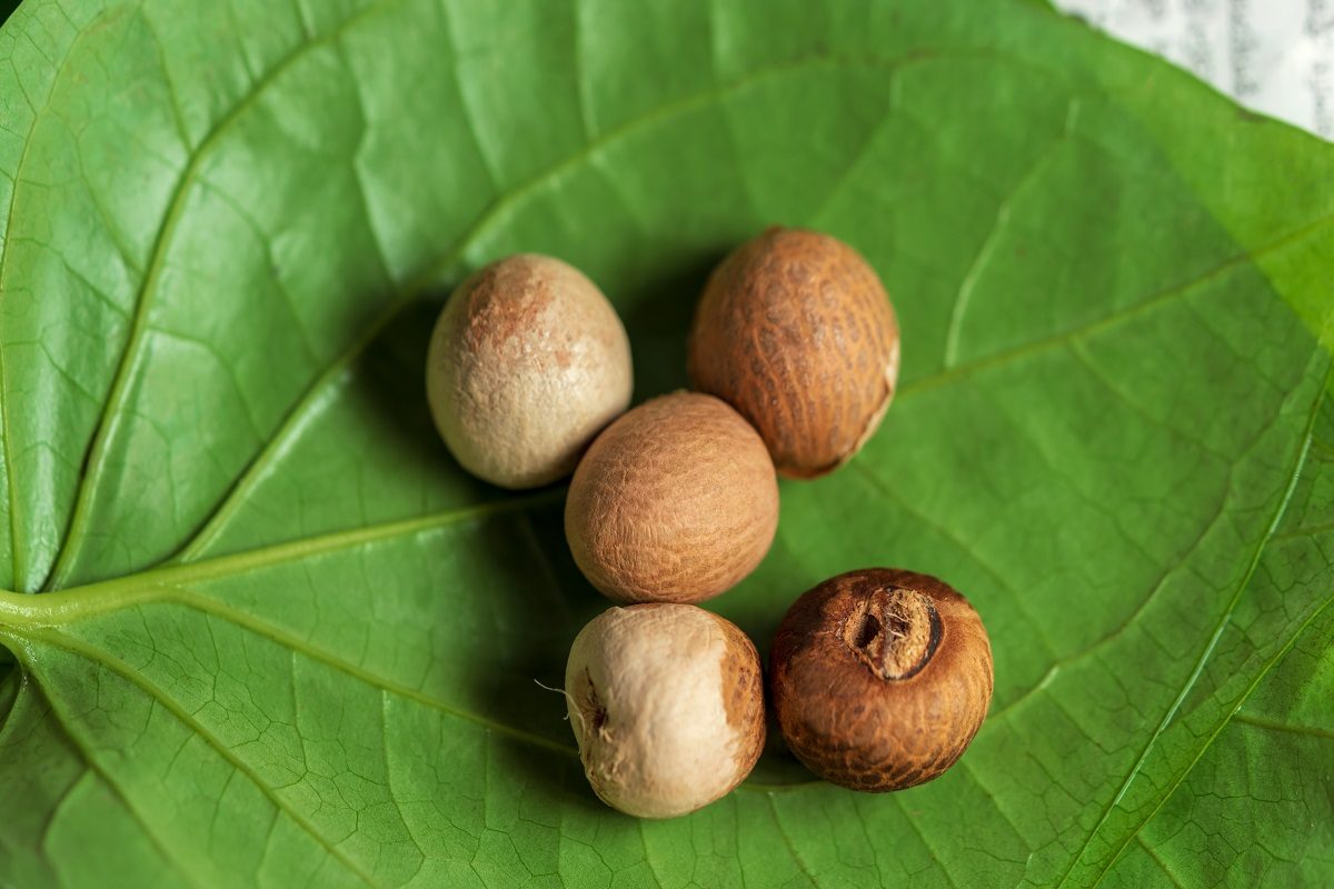 सुपारीचे धार्मिक महत्त्व