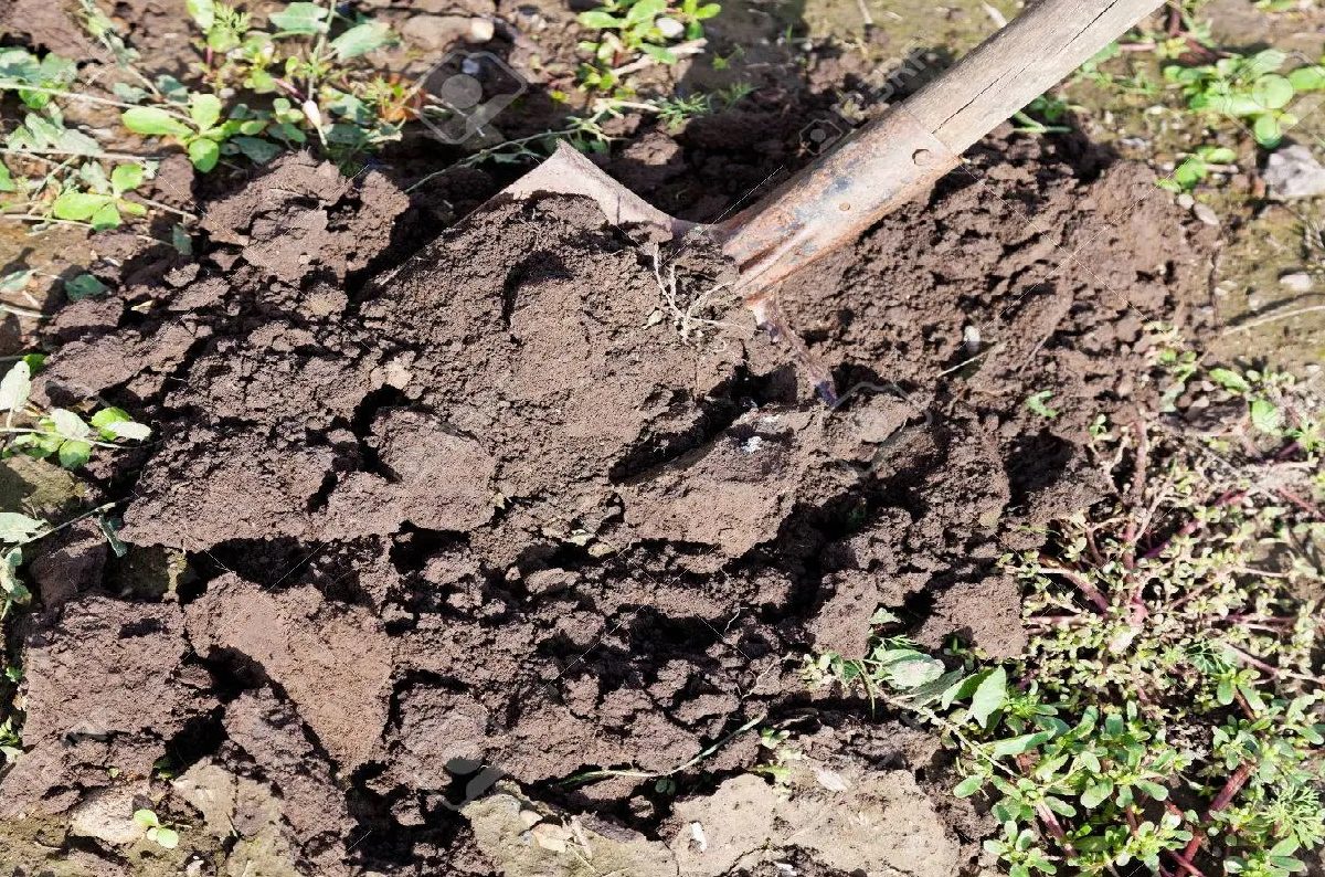 गुन्हा कबूल करताना एका व्यक्तीनं सलमानचं बोलणं रेकॉर्ड करत ते व्हायरल केलं होतं.