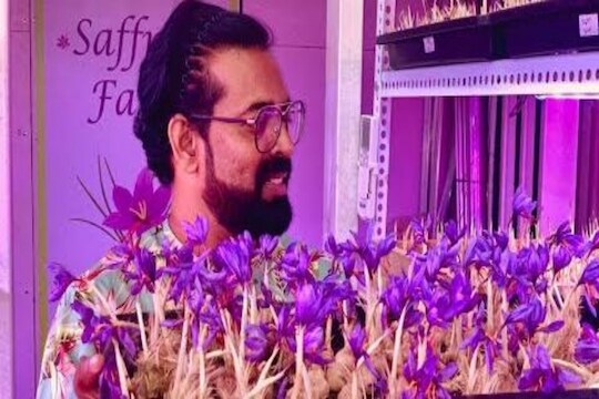 व्हॉट अ‍ॅन आयडिया सरजी... पुणेकर तरुण करतोय कंटेनरमध्ये केशरची शेती! पाहा Video