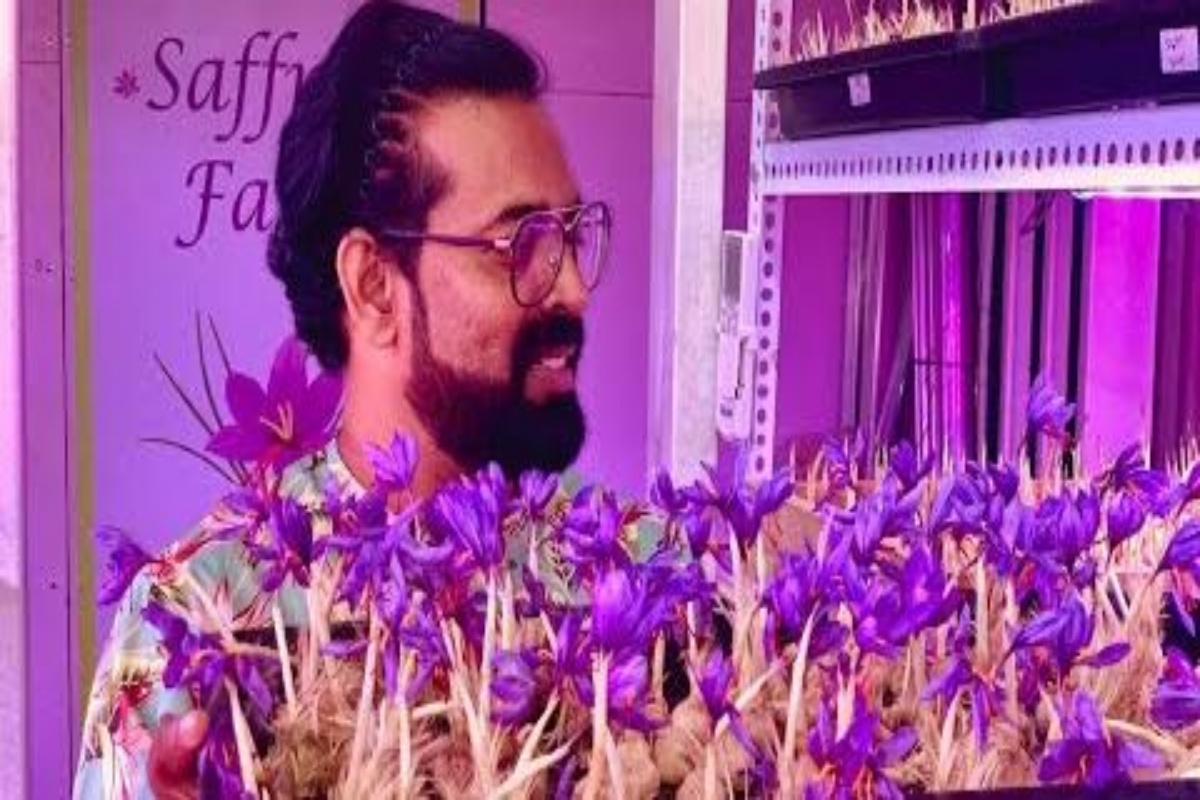 व्हॉट अॅन आयडिया सरजी... पुणेकर तरुण करतोय कंटेनरमध्ये केशरची शेती! पाहा Video