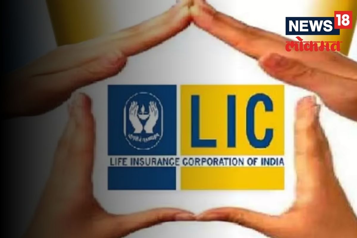 LICनं रिलाँच केले दोन टर्म प्लॅन; पॉलिसीधारकांना मिळणार ‘हे’ फायदे