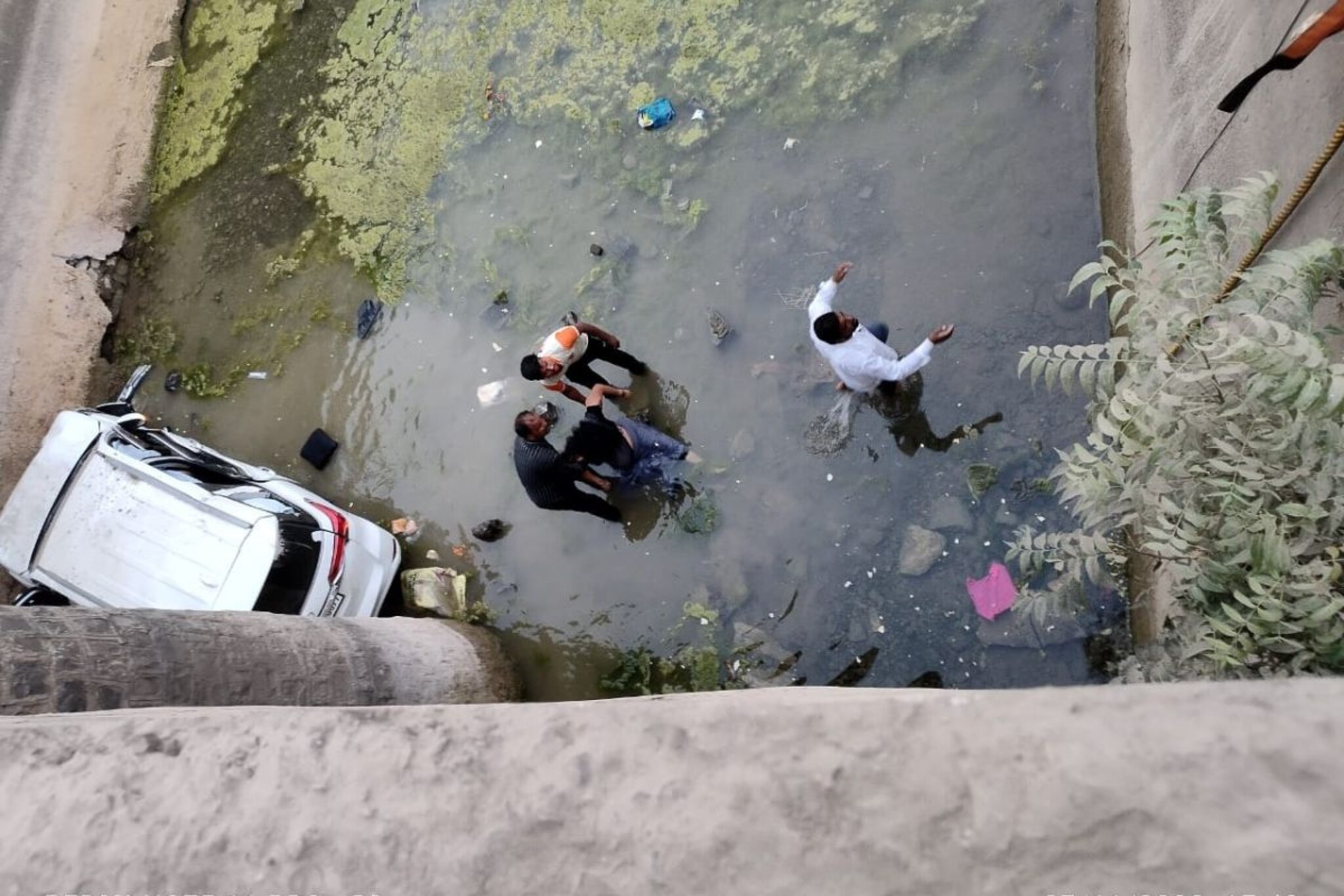 पुलाचा अंदाजच आला नाही; फॉर्च्यूनर थेट 50 फूट खोल कॅनॉलमध्ये कोसळली अन्..