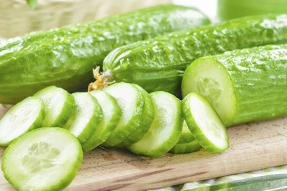 शिजवलेल्या अन्नासोबत कच्ची काकडी का खाऊ नये? जाणून घ्या