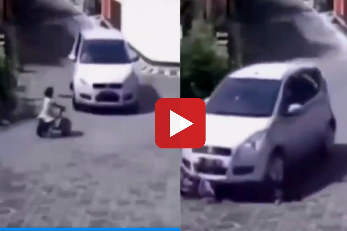 व्हायरल व्हिडीओ