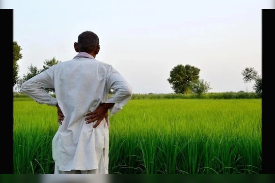 शेतातील मातीच्या उत्पादकतेबद्दल शेतकऱ्यांना माहीत असेल, त्यात कोणत्या घटकांची कमतरता आणि आणि कोणते घटक उत्पादन वाढवण्यासाठी वापरण्याची गरज आहे