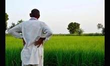 मुख्यमंत्री महोदय, शेती करताय तर शेतकऱ्यांचं ऐका, गुंठ्याला मिळाले फक्त 5 रुपये