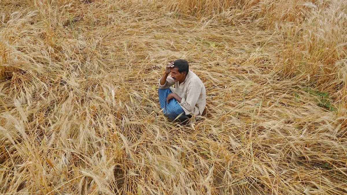 Bhandara Farmer Suicide : अस्मानी संकट शेतकऱ्यांचे आणखी किती बळी घेणार? शेतकऱ्यांने उचलले टोकाचे पाऊल