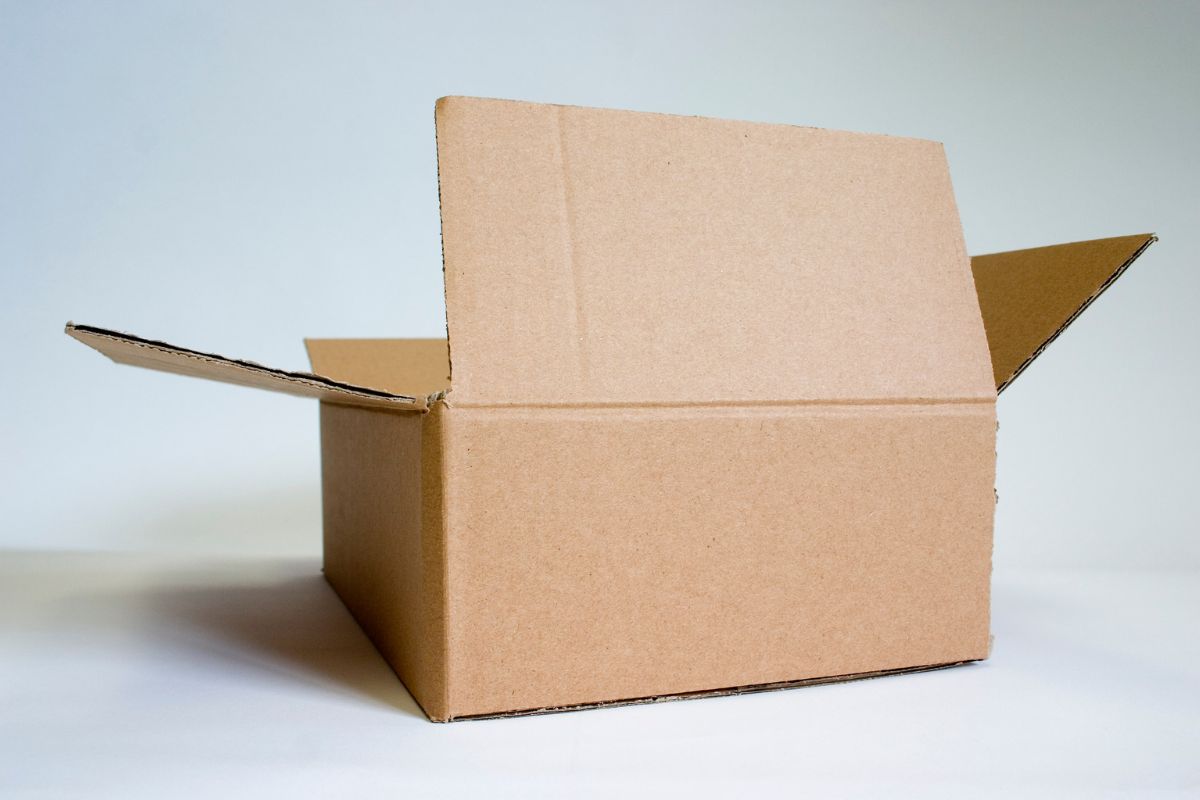 प्रतिकात्मक फोटो