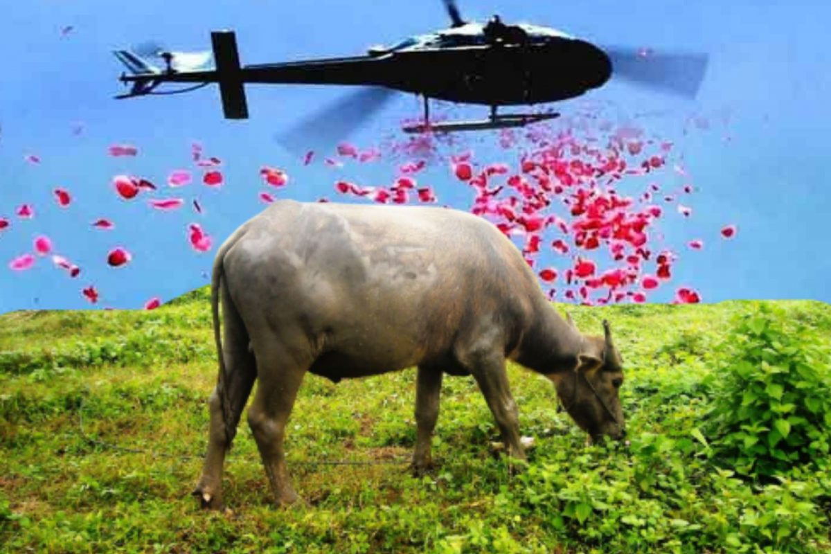 प्रतीकात्मक फोटो