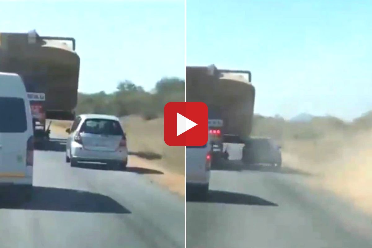 व्हायरल व्हिडीओ