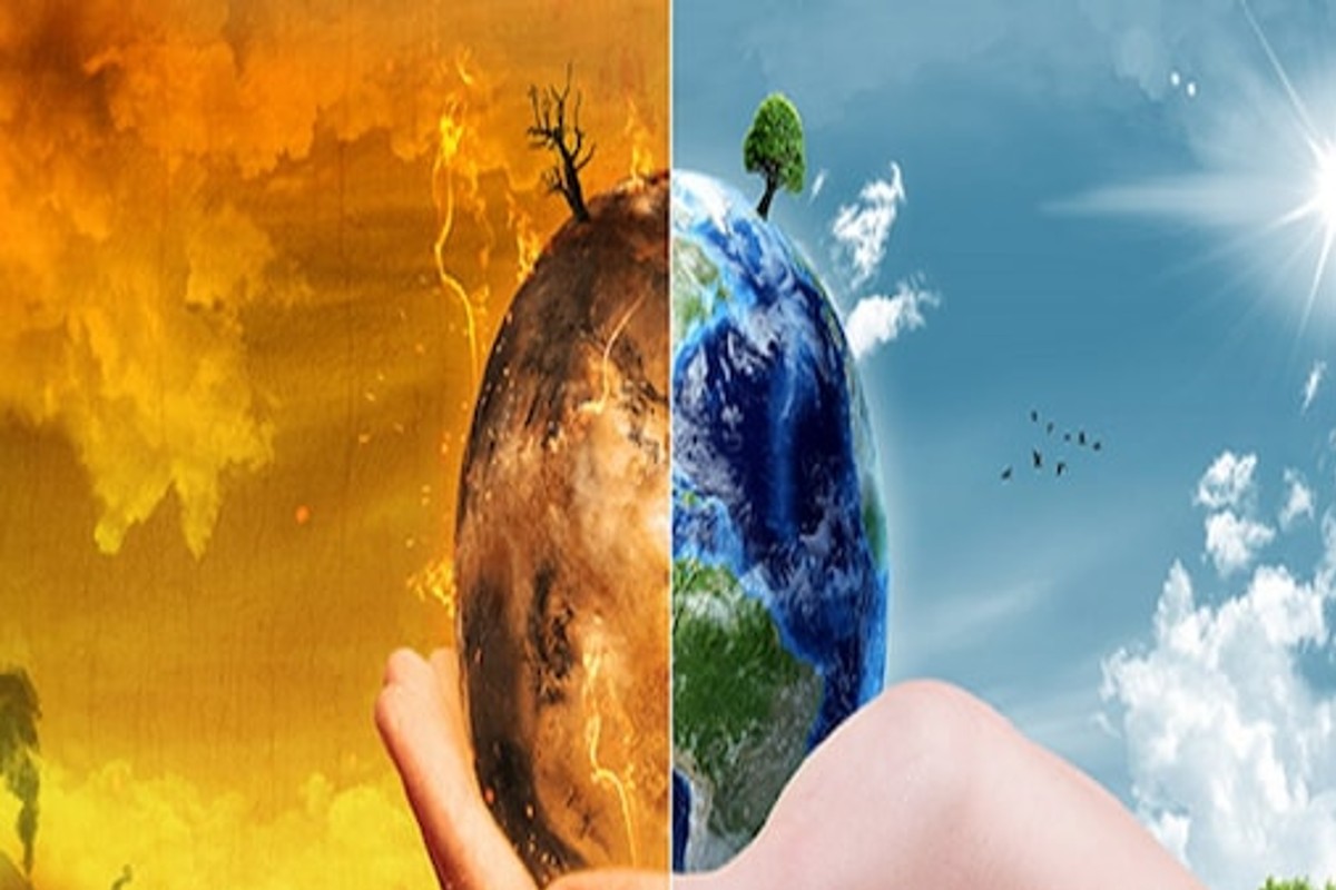 'क्लायमेट चेंज' ठरतंय धोकादायक! जास्त तापमानामुळे या प्राण्यांचं होतंय 'सेक्स चेंज'