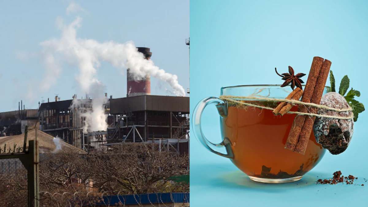 प्रदूषणामुळे फुफ्फुसांची कार्यक्षमता होतेय कमी; ‘हा’ काढा देईल आराम