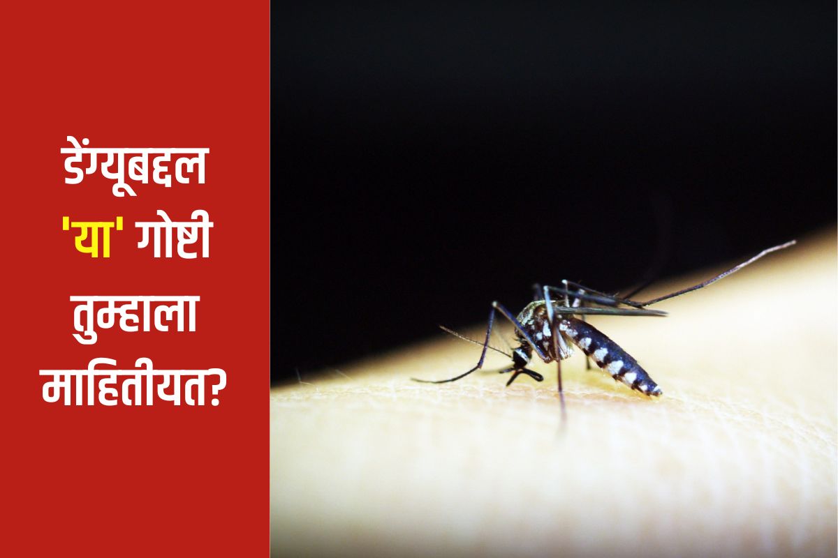 प्रतिकात्क फोटो