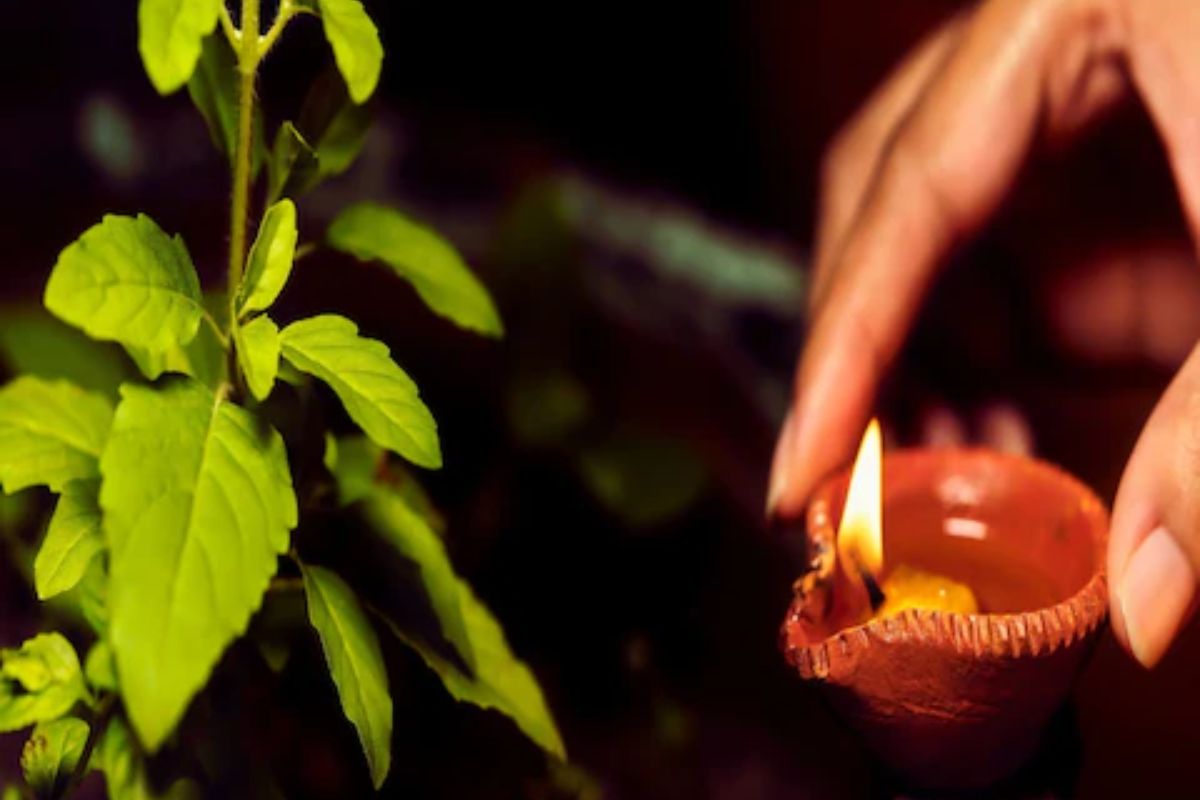 Tulsi Vivah 2022 : तुळशी विवाहाच्या मंगल प्रसंगी या मंत्राचा करा जप; घरातील गरिबी होईल दूर
