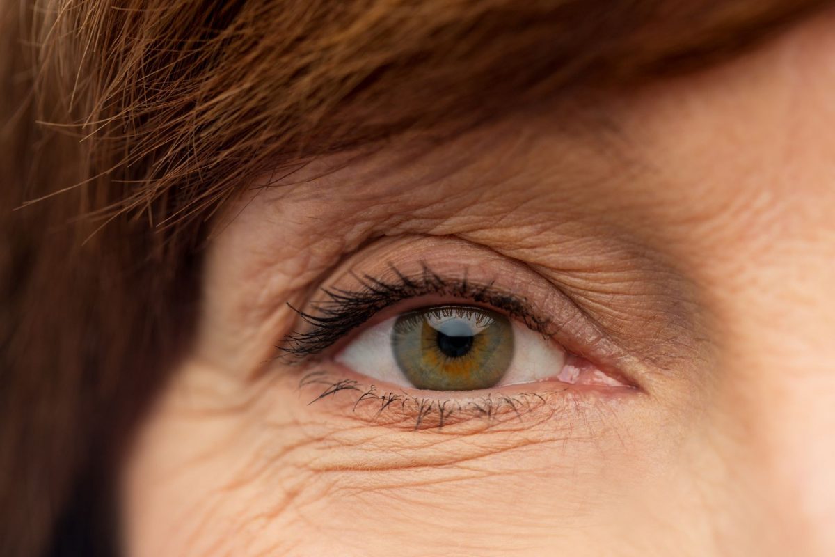 प्रतीकात्मक फोटो (सौजन्य - Canva)