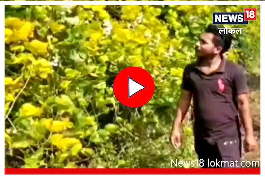 Video : वयाच्या 23 व्या वर्षी केली शेतीत क्रांती, अनोख्या संकल्पनेमुळे मिळाला पुरस्कार