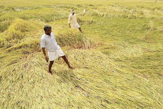 Farmer Protest : अतिवृष्टीने नुकसान झालेल्या शेतकऱ्यांना दिलासा, सरकारने जाहीर केली मदत