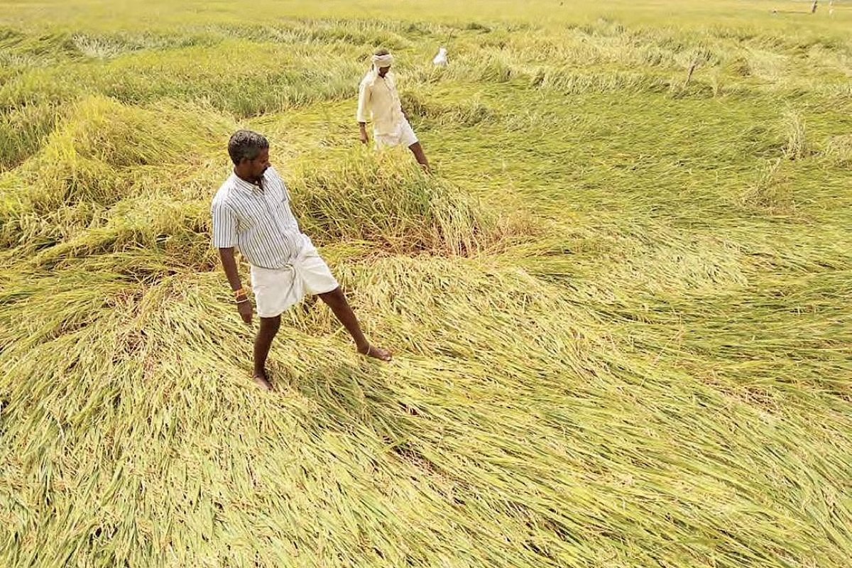 Farmer Protest : अतिवृष्टीने नुकसान झालेल्या शेतकऱ्यांना दिलासा, सरकारने जाहीर केली मदत
