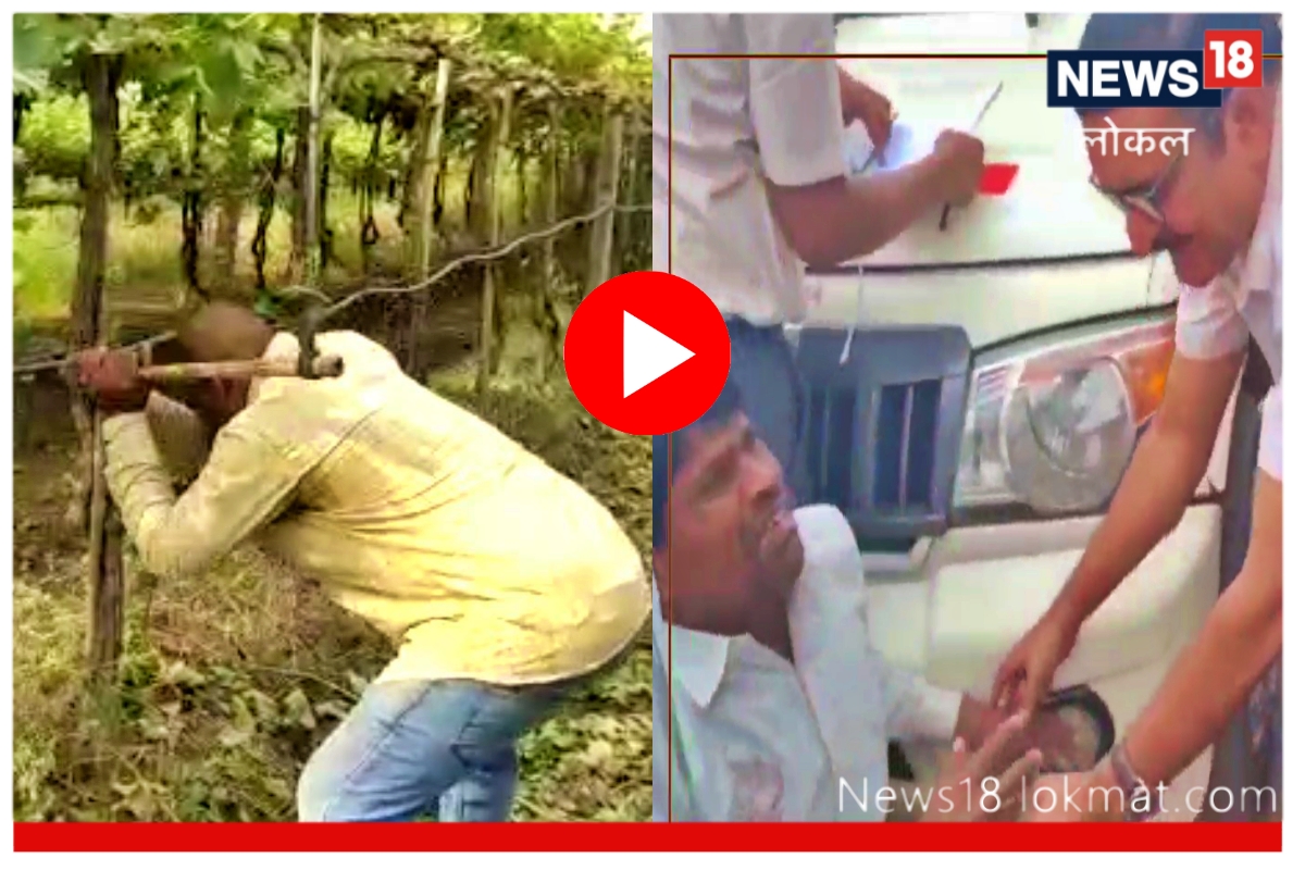 Video : स्टोन क्रशरमुळे द्राक्ष बागेवर कुऱ्हाड, अधिकाऱ्यासमोर शेतकरी ढसाढसा रडला