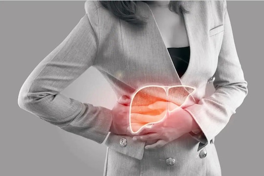 Fatty Liver : फॅटी लिव्हरच्या समस्येपासून मुक्त करेल ही औषधी वनस्पती, मिळतील अनेक फायदे